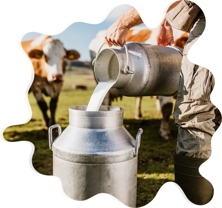MilkUp vision